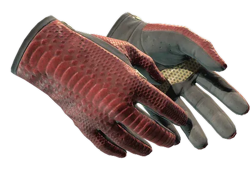 Driver Gloves Dragon Fists